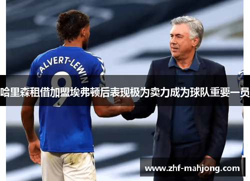 哈里森租借加盟埃弗顿后表现极为卖力成为球队重要一员