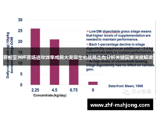 赛前亚洲杯赛场进攻效率成最大变量左右战局走向分析关键因素深度解读